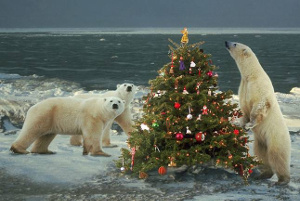 Festive Season Party