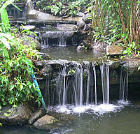 Garden Waterfall